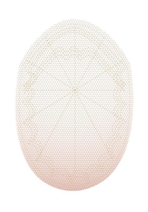 champion-Lordhair-Haarsystem mit Lace-Basis und verstärkten Nähten