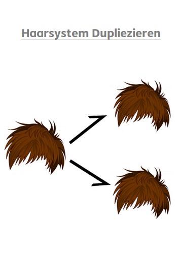Haarsystem Duplizieren