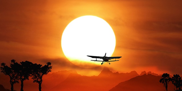 fliegen mit haarsystem
