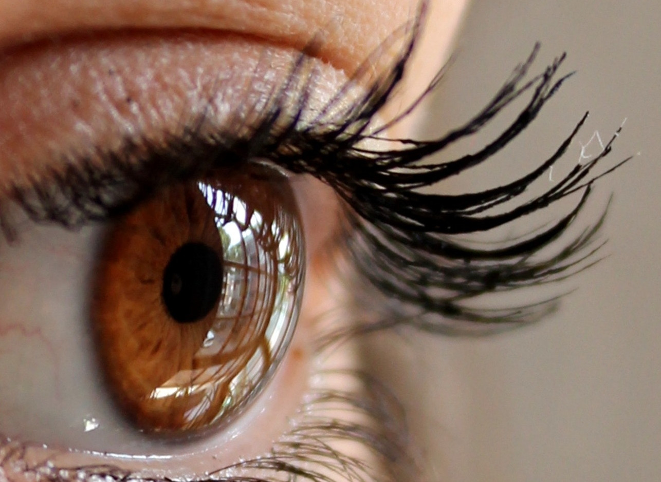 wie lange leben Wimpern