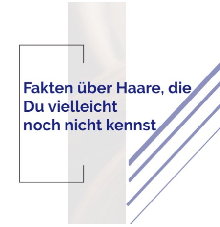 Fakten zu Haaren